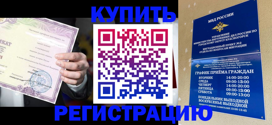 временная регистрация собственник в Пласте